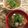 saki1010's cooksnap of when they made 塩麹で簡単ポトフ.