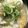 猫まんま☆'s cooksnap of when they made 簡単♫本格鶏皮ラーメン.