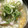 猫まんま☆'s cooksnap of when they made 簡単♫本格鶏皮ラーメン.