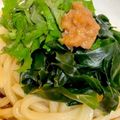 やよい・M's cooksnap of when they made さっぱり!梅とワカメと大葉のざるうどん♥.