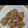 羊おばさん's cooksnap of when they made オートミールと全粒粉の白ごま甘酒クッキー.