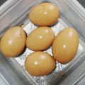 黒豆丸's cooksnap of when they made チャーシューのタレで作る煮卵.