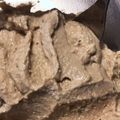 bbcocomo's cooksnap of when they made これ豆腐なの？！豆腐と黒糖の濃厚クリーム.