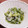 チコリママ's cooksnap of when they made 【作り置き】しらすと胡瓜の酢の物.