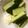 ベティ３'s cooksnap of when they made 塩マヨネーズとキュウリ.