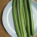 クックQXOON8☆'s cooksnap of when they made 塩きゅうりスティック.