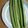 クックQXOON8☆'s cooksnap of when they made 塩きゅうりスティック.