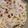 suppa25's cooksnap of when they made ツナとサワークリームのフジッリ.