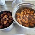 イシス女神's cooksnap of when they made 栗の鬼皮の剥き方.