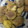 クックプ～'s cooksnap of when they made 生栗の下処理の仕方.