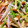 クックK3DI0Y's cooksnap of when they made もやしとえのきのさっぱり梅あえ.