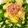 クック96U094☆'s cooksnap of when they made おくらの花サラダ.