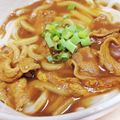 hitomi♪＊'s cooksnap of when they made 絶品！こだわりのカレーうどん.