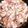♬あじさいのレシピ♬'s cooksnap of when they made サバの水煮缶と豆腐で☆時短あんかけ丼.