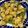 クックCG2NFA☆'s cooksnap of when they made 納豆の辛子消費！鶏と薩摩芋のﾊﾆｰ辛子笑.