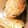 ちーずけぇき☆'s cooksnap of when they made ごぼう、れんこんの皮むきと下処理.