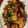 クック6TT4ZP☆'s cooksnap of when they made 長芋と牛肉の中華炒め♪.