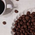 ek525's cooksnap of when they made コーヒー豆みたいな？コーヒークッキー✿.