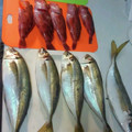 まちゃモンZ's cooksnap of when they made 簡単、魚の捌きかた.