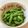 しげその's cooksnap of when they made 超簡単★冷凍枝豆で枝豆ペペロン！.