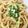 yknobi's cooksnap of when they made 焼き肉のタレで焼きうどん☆焼肉のシメにも.