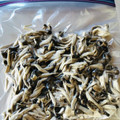 azbjbn's cooksnap of when they made 冷凍保存～しめじ～.