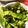 かのこはLOVE's cooksnap of when they made 無限ブロッコリー.