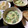 mio-choco's cooksnap of when they made ほうれん草のクリーム煮.