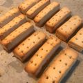 ガットレオ's cooksnap of when they made ショートブレッド　カロリーメイトチーズ風.