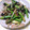 マミマミム's cooksnap of when they made アスパラガスとじゃこの和風炒め.