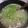 ぺんぎん33's cooksnap of when they made 熱々とろとろ冬瓜スープ.