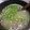 ぺんぎん33's cooksnap of when they made 熱々とろとろ冬瓜スープ.