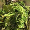 bitinha's cooksnap of when they made パパッと豆苗とワカメのナムル.