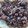 siroro56's cooksnap of when they made 風味の良い粒あんの作り方.