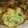 クックFCCUK6☆'s cooksnap of when they made #エコでおいしい！ 冬瓜の皮の天ぷら.