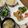 ぐりtoぐら's cooksnap of when they made 白菜のカニカマあんかけ.