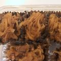 クック07YKKM☆'s cooksnap of when they made ツナ切り干し大根煮物.