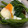 葉月優希's cooksnap of when they made つるむらさきのおひたし温玉乗せ.