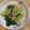 クックANLLO1☆'s cooksnap of when they made 小松菜のおひたし.