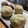 こまちち's cooksnap of when they made とっても簡単★栗きんとん.