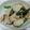 レオミウ's cooksnap of when they made 里芋とインゲンと豚の胡麻味噌煮.