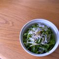 hiroerico's cooksnap of when they made 豆苗としらすの胡麻ごまサラダ。.