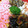 しまんちゅ44's cooksnap of when they made 具だくさんがおいしい！我が家のちらし寿司.