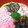 しまんちゅ44's cooksnap of when they made 基本のちらし寿司.