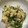 shishia☆'s cooksnap of when they made しいたけと三つ葉のみそ白和え.