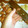 White☆Lily's cooksnap of when they made 栗の渋皮の剥き方.
