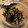 tomochi_to's cooksnap of when they made わが家のひじきの煮物.