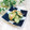 Satoco❋'s cooksnap of when they made きゅうりと茗荷のさっぱり小鉢.