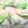 kuikomi's cooksnap of when they made えびとパクチーときゅうりだけ☆生春巻き.