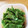 ごじひめ's cooksnap of when they made ささげの胡麻和え.